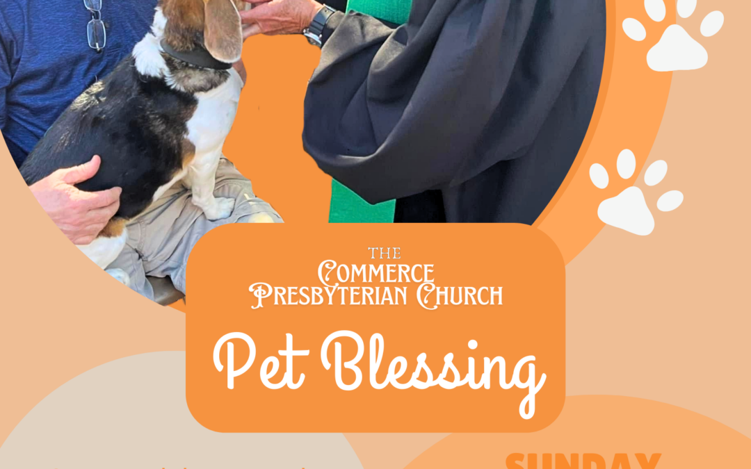 Pet Blessing